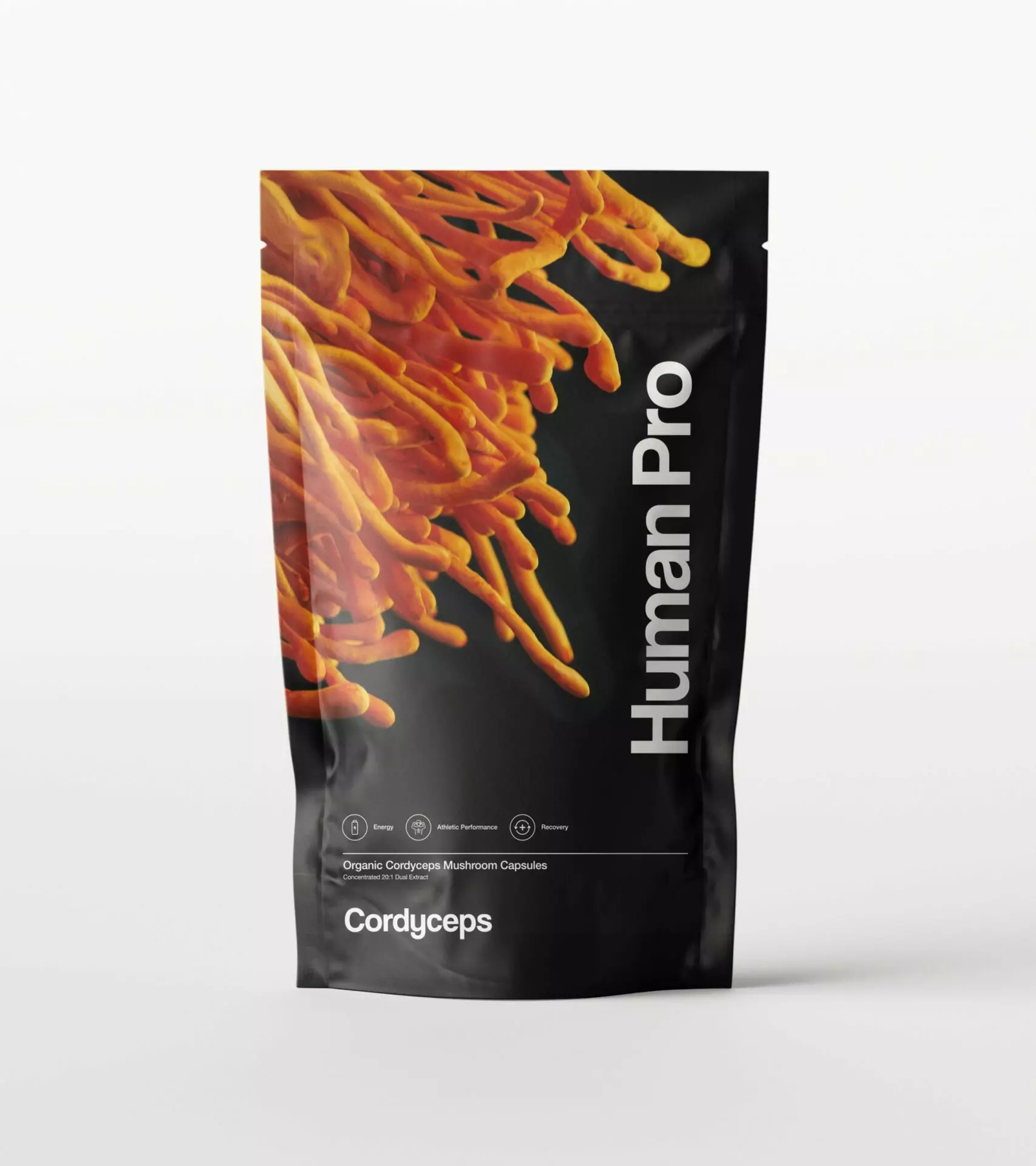 Lion's Mane + Cordyceps Bundle - Image 2