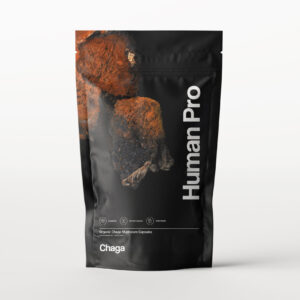 Koop Chaga