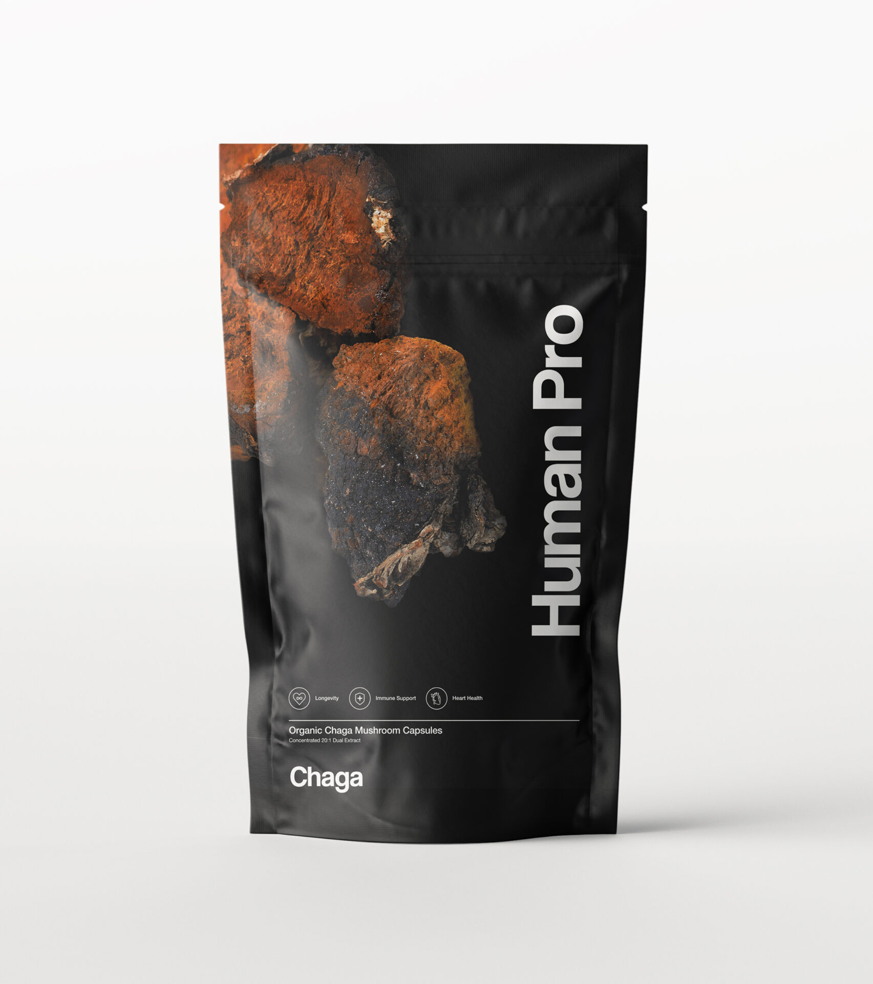 Koop Chaga