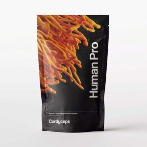 Koop Cordyceps