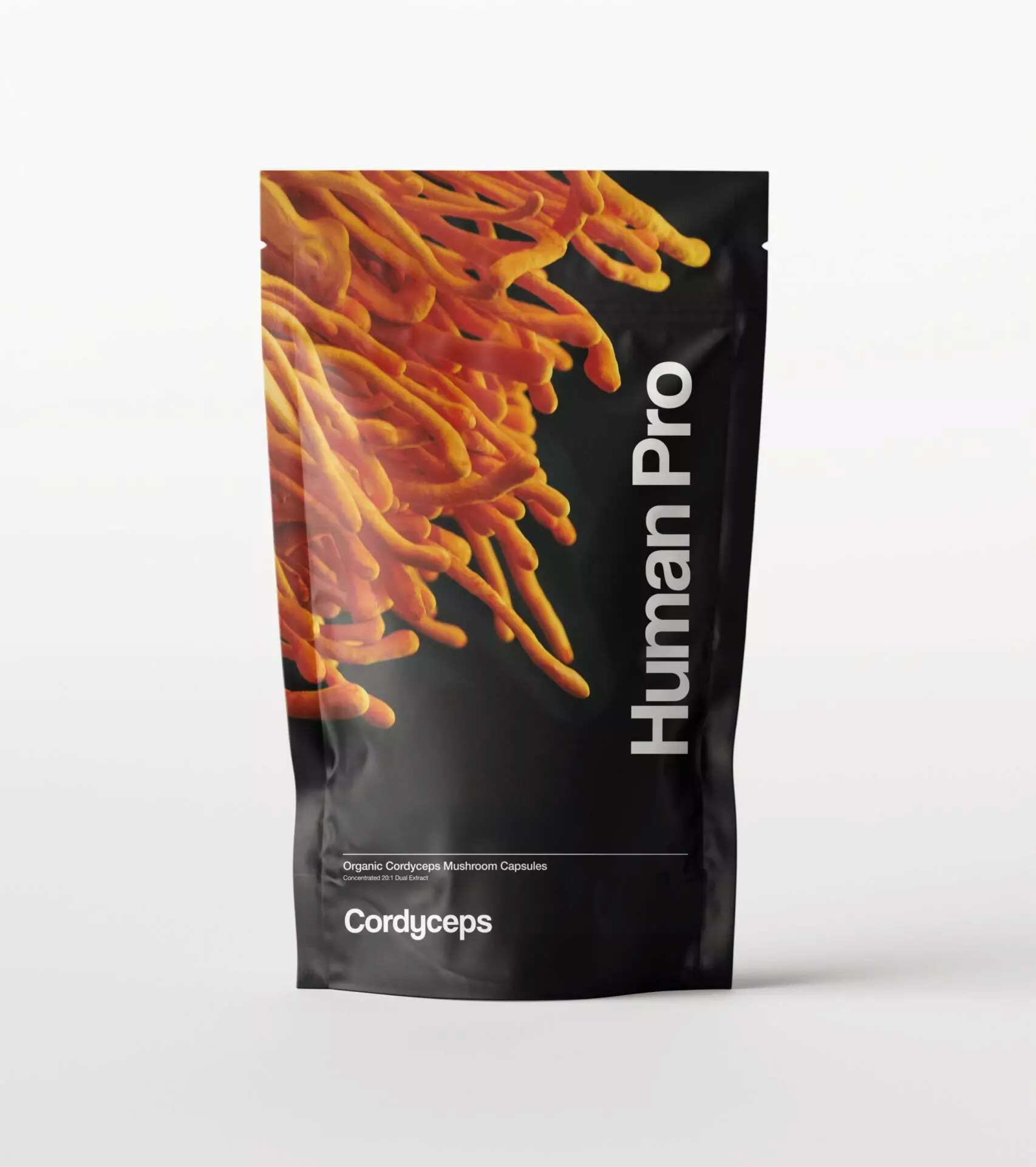 Koop Cordyceps