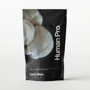 Koop Lion's Mane